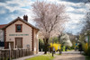 French property for sale in Caluire-et-Cuire, Rhône - €655,000 - thumbnail 5