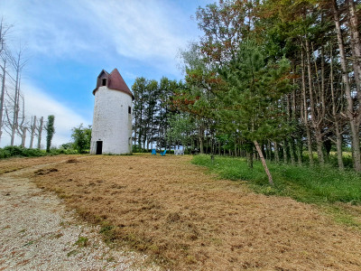 mill for sale in Charente-Maritime