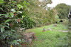 French property for sale in Puch-d'Agenais, Lot-et-Garonne - €99,550 - thumbnail 14