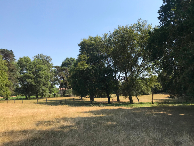 House for sale in Gours Gironde Superb Chartreuse with U shaped