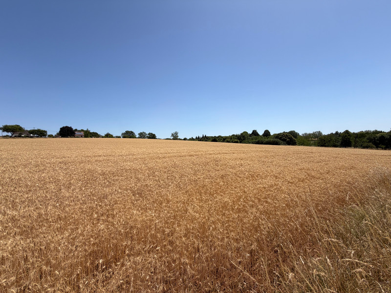 French property for sale in Saint-Sulpice-d'Excideuil, Dordogne - €223,630 - photo 4