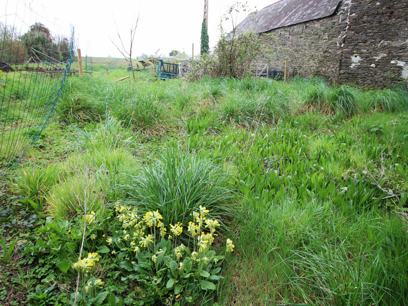 French property for sale in Pleyben, Finistère - photo 9