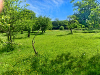 Propriété à vendre à Sarroux - Saint Julien, Corrèze - 172 800 € - photo n°10