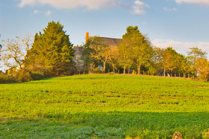 House for sale in Martaizé Vienne In the south Loire Valley