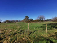 Propriété à vendre à Réminiac, Morbihan - 370 000 € - photo n°14