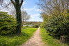 French property for sale in Maël-Carhaix, Côtes-d'Armor - €23,600 - thumbnail 13