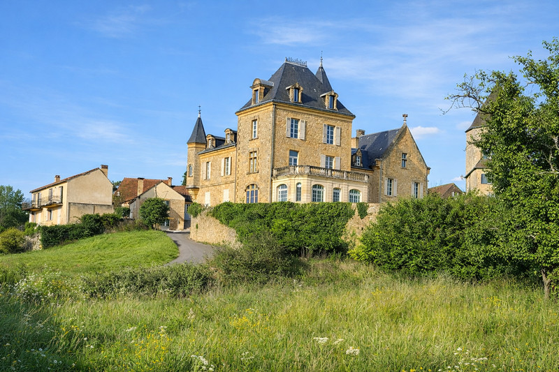French property for sale in Vitrac, Dordogne - €2,179,000