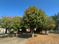 Terrain à vendre à Hères, Hautes-Pyrénées - 35.000 € - photo 11
