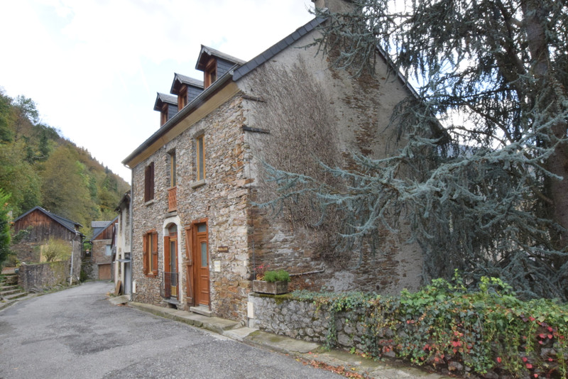 House for sale in MontaubandeLuchon HauteGaronne Renovated stone