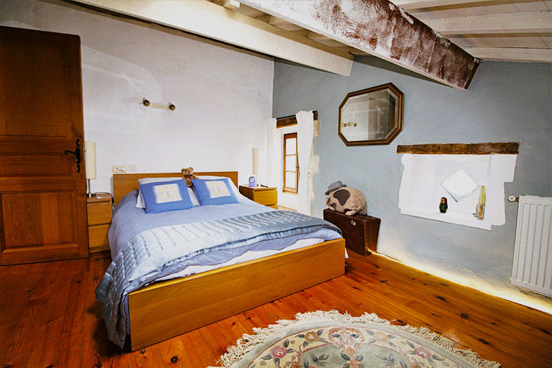 French property for sale in Bouteilles-Saint-Sébastien, Dordogne - €460,000 - photo 6