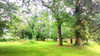 French property for sale in Mont-de-Marsan, Landes - €570,000 - thumbnail 9