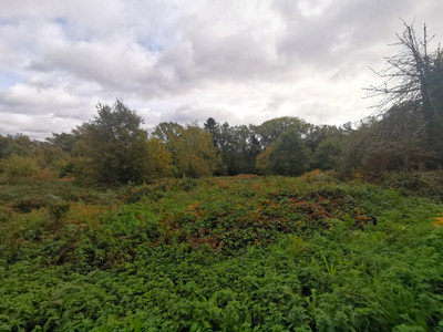 French property for sale in La Gacilly, Morbihan - €50,000 - photo 10