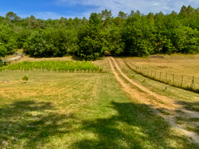 French property for sale in Aubas, Dordogne - €498,000 - photo 8