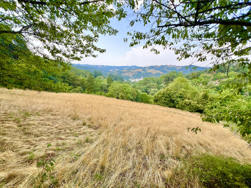 French property for sale in Espeyrac, Aveyron - €315,000 - photo 3