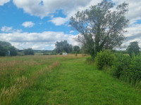 Lacs à Connerré, Sarthe - photo 6