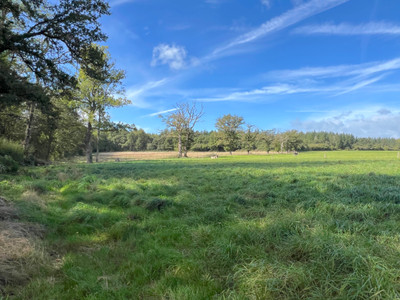 French property for sale in Gouzon, Creuse - €371,000 - photo 7