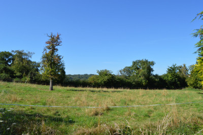 French property for sale in Saint-Chabrais, Creuse - €141,700 - photo 6