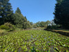 French property for sale in Les Châteliers, Deux-Sèvres - €71,600 - thumbnail 11