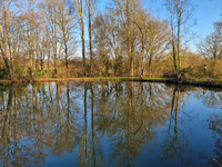 Lacs à Saint-Brice, Mayenne - photo 2