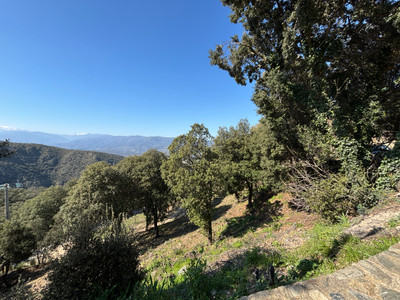 French property for sale in Glorianes, Pyrénées-Orientales - €521,000 - photo 1