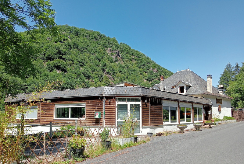 French property for sale in Pleaux, Cantal - €288,900 - photo 8