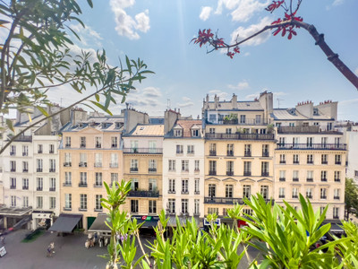 Marais district, superbly renovated 5th & top floor south facing loft apartment + terrace in a 1650 building. 
