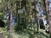 Lacs à vendre à Vayres, Haute-Vienne - 77.000 € - photo 9