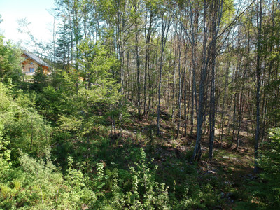 Ski property for sale in Savoie Grand Revard - €115,000 - photo 8