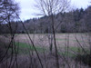 French property for sale in Landeleau, Finistère - €36,600 - thumbnail 9
