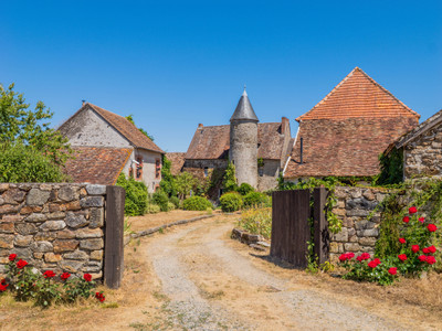 chateau for sale in Vienne
