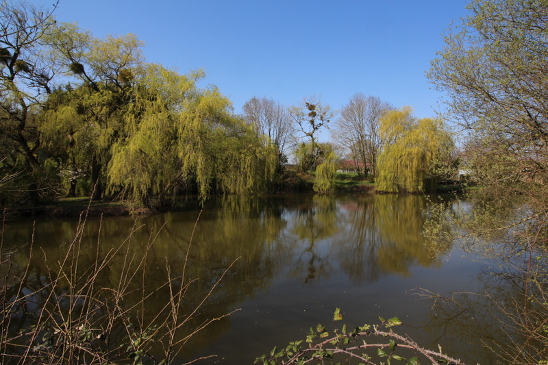 Lacs à vendre à Nuillé-sur-Vicoin, Mayenne - 246 100 € - photo 1