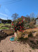 French property for sale in Parleboscq, Landes - €135,000 - thumbnail 14