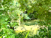 French property for sale in Eymet, Dordogne - €296,800 - thumbnail 9