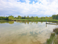 Lacs à vendre à Grez-en-Bouère, Mayenne - 88 000 € - photo 3