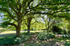 French property for sale in Eymet, Dordogne - €474,000 - thumbnail 9
