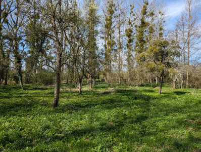 French property for sale in Blèves, Sarthe - €310,000 - photo 9