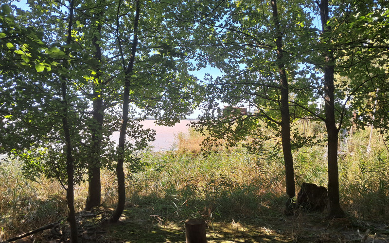 French property for sale in Gauriac, Gironde - €199,900 - photo 3
