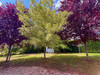 French property for sale in Ciran, Indre-et-Loire - €128,000 - thumbnail 14