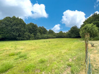 Maison à vendre à La Caillère-Saint-Hilaire, Vendée - 259.475 € - photo 15