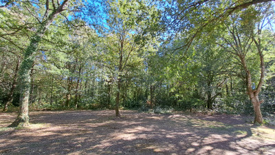 French property for sale in Saint-Mathieu, Haute-Vienne - €466,400 - photo 12