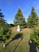 French property for sale in Saint-Médard-de-Mussidan, Dordogne - €455,800 - thumbnail 9