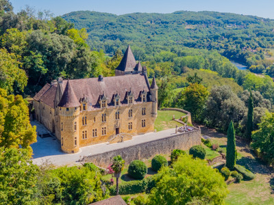 chateau for sale in Aquitaine (Nouvelle-Aquitaine)