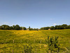 French property for sale in Verrières, Orne - €424,000 - thumbnail 9