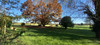 French property for sale in Chalais, Dordogne - €224,700 - thumbnail 9