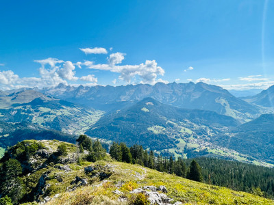 French property for sale in Veyrier-du-Lac, Haute-Savoie - €922,480 - photo 9