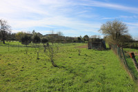 Propriété à vendre à Tusson, Charente - 51 600 € - photo n°7