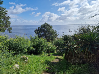 Exclusive - L'Hérbe - Cap-Ferret: Best view of the Arcachon Bay