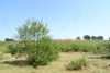 French property for sale in Rânes, Orne - €50,000 - thumbnail 14