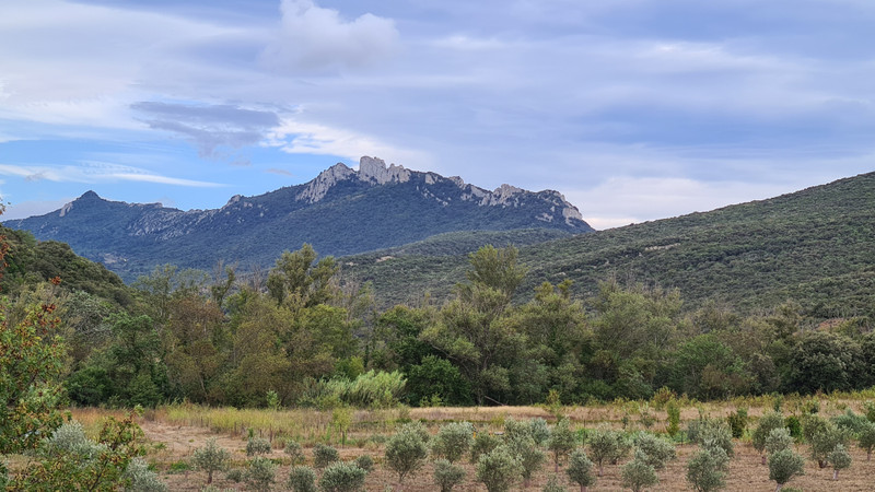 French property for sale in Cucugnan, Aude - €480,000 - photo 8
