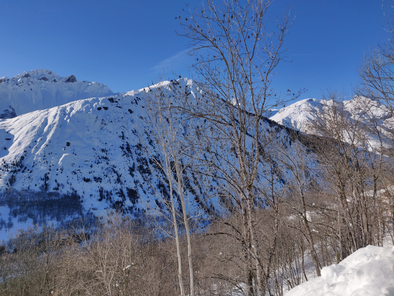 Propriété de ski à vendre - Saint Martin de Belleville - 3 450 000 € - photo 3